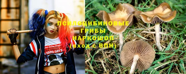 ПСИЛОЦИБИНОВЫЕ ГРИБЫ Володарск