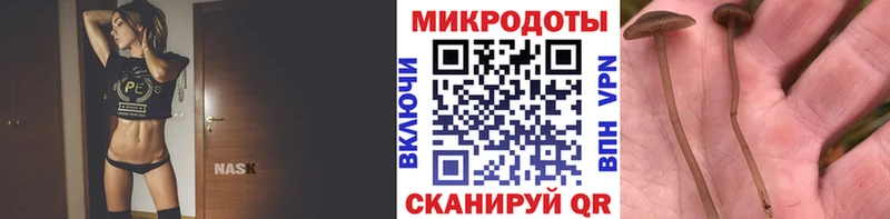 Галлюциногенные грибы GOLDEN TEACHER Камышин
