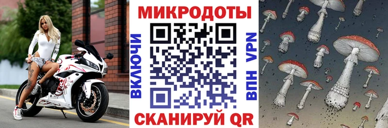 МЕГА   Камышин  Галлюциногенные грибы мицелий 